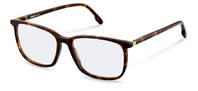 Rodenstock-Dioptrické okuliare-R5360-havana/gold